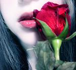 سا را